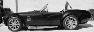 1-CobraPan 04 BW